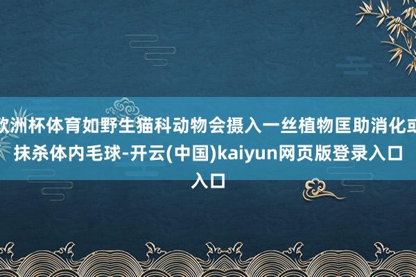 欧洲杯体育如野生猫科动物会摄入一丝植物匡助消化或抹杀体内毛球-开云(中国)kaiyun网页版登录入口