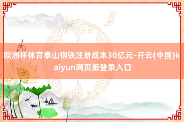欧洲杯体育泰山钢铁注册成本30亿元-开云(中国)kaiyun网页版登录入口
