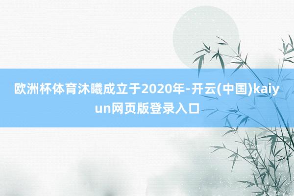 欧洲杯体育沐曦成立于2020年-开云(中国)kaiyun网页版登录入口