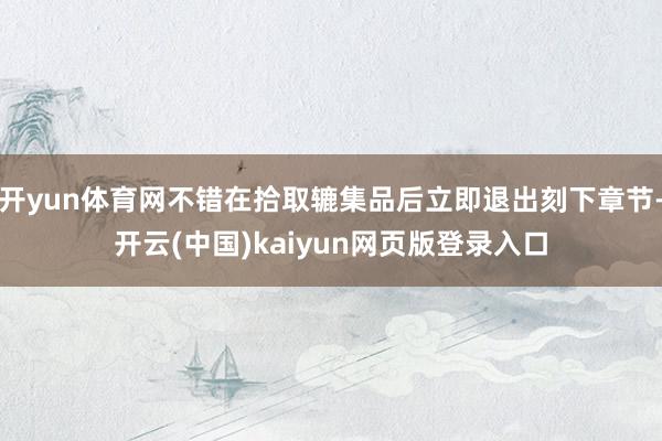 开yun体育网不错在拾取辘集品后立即退出刻下章节-开云(中国)kaiyun网页版登录入口