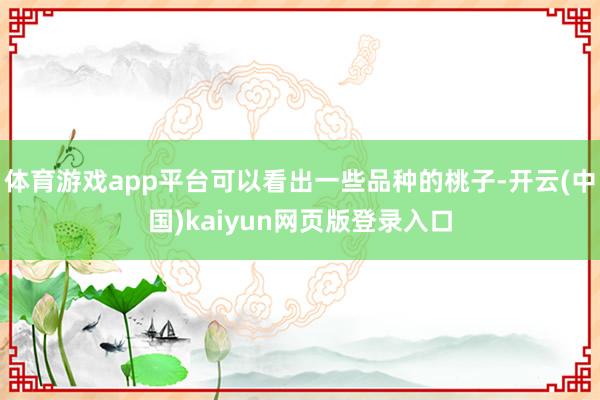 体育游戏app平台可以看出一些品种的桃子-开云(中国)kaiyun网页版登录入口