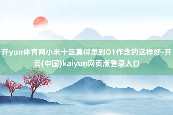 开yun体育网小米十足莫得思到O1作念的这样好-开云(中国)kaiyun网页版登录入口