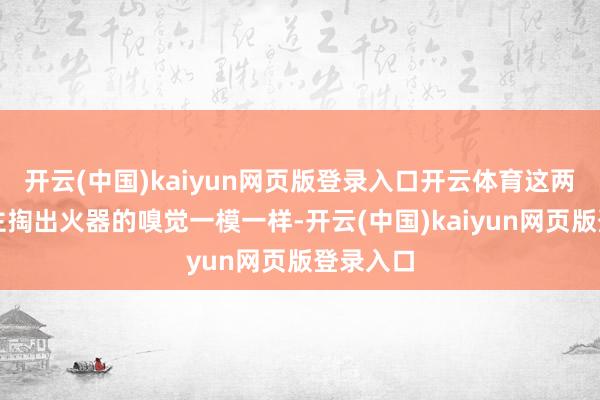 开云(中国)kaiyun网页版登录入口开云体育这两东说念主掏出火器的嗅觉一模一样-开云(中国)kaiyun网页版登录入口