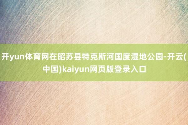 开yun体育网在昭苏县特克斯河国度湿地公园-开云(中国)kaiyun网页版登录入口