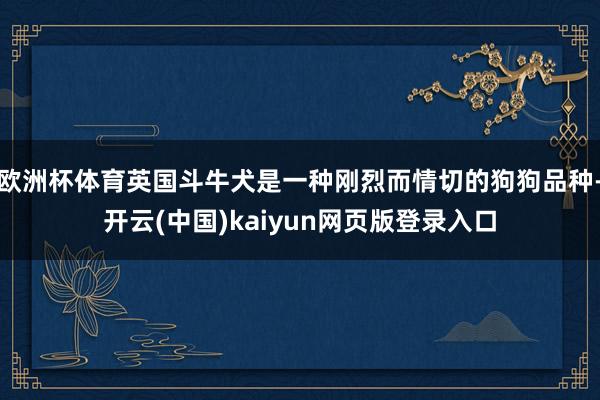 欧洲杯体育英国斗牛犬是一种刚烈而情切的狗狗品种-开云(中国)kaiyun网页版登录入口
