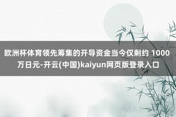 欧洲杯体育领先筹集的开导资金当今仅剩约 1000 万日元-开云(中国)kaiyun网页版登录入口