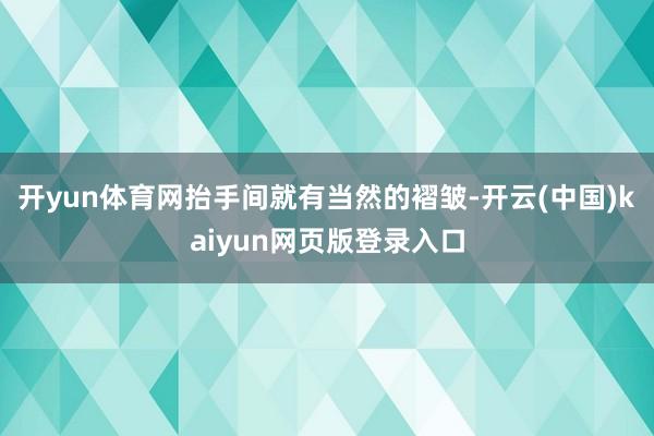 开yun体育网抬手间就有当然的褶皱-开云(中国)kaiyun网页版登录入口