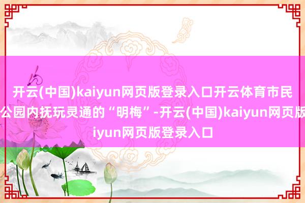 开云(中国)kaiyun网页版登录入口开云体育市民在玄武湖公园内抚玩灵通的“明梅”-开云(中国)kaiyun网页版登录入口