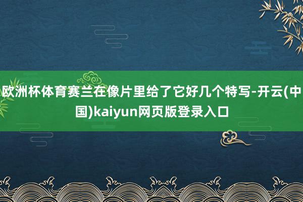 欧洲杯体育赛兰在像片里给了它好几个特写-开云(中国)kaiyun网页版登录入口