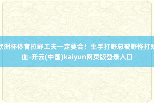 欧洲杯体育拉野工夫一定要会！生手打野总被野怪打残血-开云(中国)kaiyun网页版登录入口