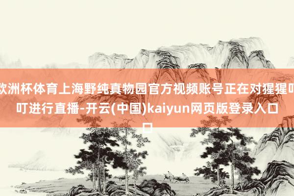 欧洲杯体育上海野纯真物园官方视频账号正在对猩猩叮叮进行直播-开云(中国)kaiyun网页版登录入口