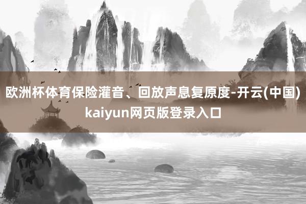 欧洲杯体育保险灌音、回放声息复原度-开云(中国)kaiyun网页版登录入口